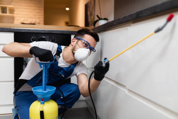 Pest Control Cost in Mabank, TX