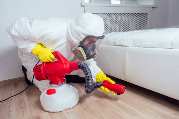 Best Flea Control Services  in Mabank, TX